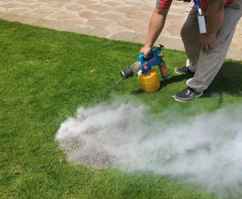 阜陽(yáng)滅蟲公司